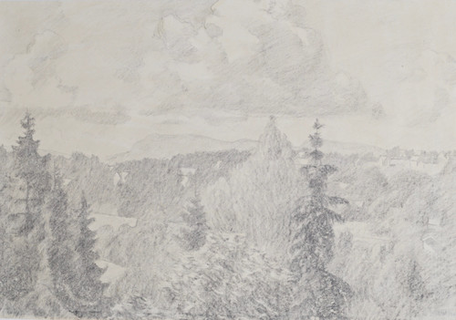 Landskap i Bærum, Kolsåstoppen og Skaugumåsen 1919
