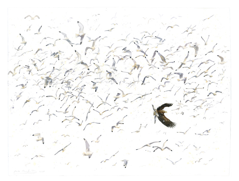 Thorenfeldt, Axel (1998-), Havørn og krykkjer (2025)    SOLGT