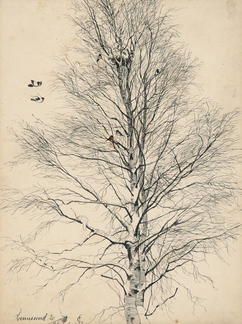 Birch Trees with Magpies, Winter 1878