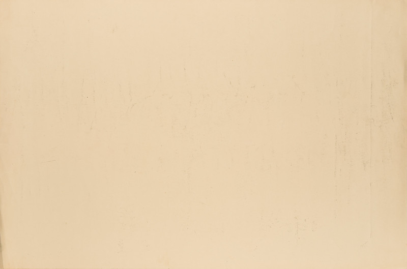 Munch, Edvard (1863-1944), Selvportrett med skjegg (1919)