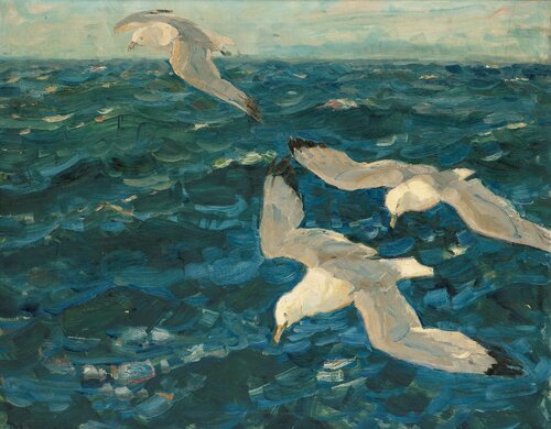 Flying Seagulls 1898