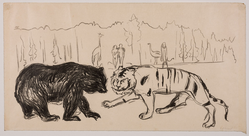 Tiger og bjørn