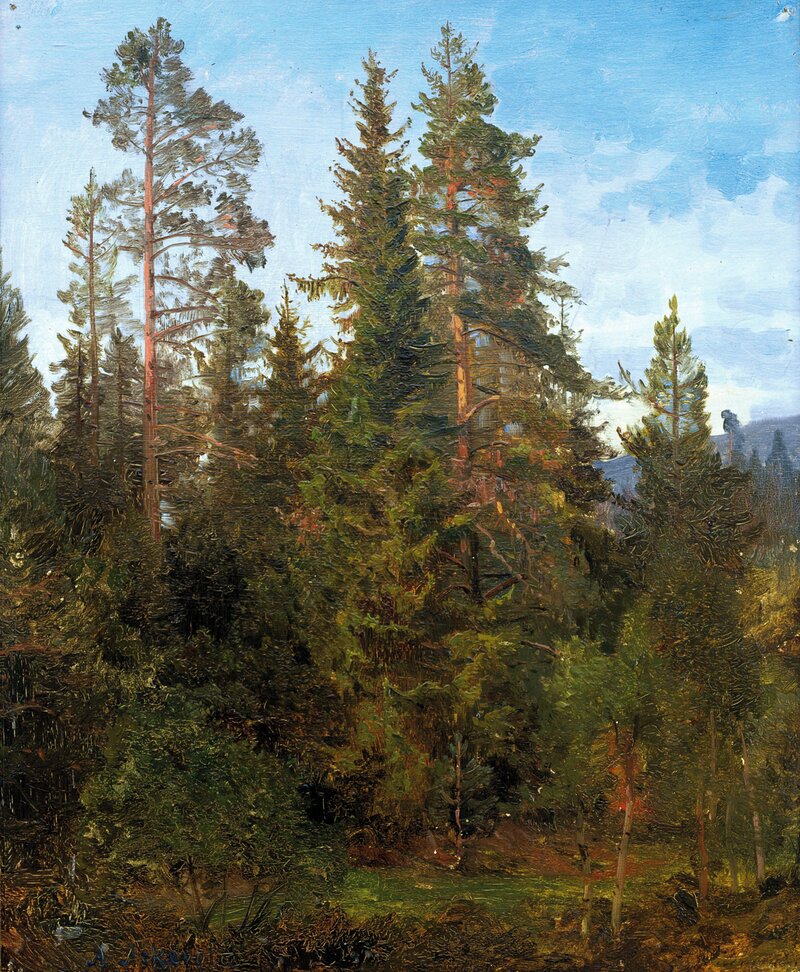 Skogsstudie fra Eide 1868