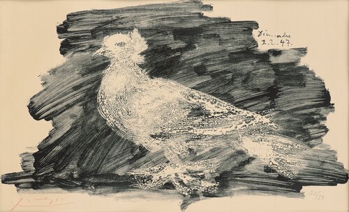 Pigeon au fond gris 1947