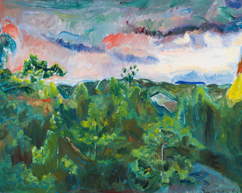 Erichsen, Thorvald (1868-1939), Uvær, Kjelsøy 1931