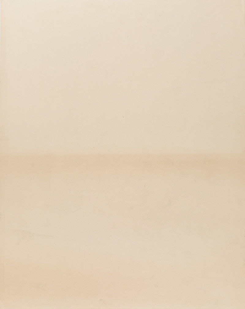 Munch, Edvard (1863-1944), Skog ved Wiesbaden (1921-22)