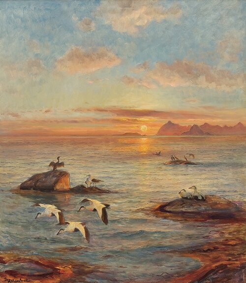 Seabirds in the Midnight Sun