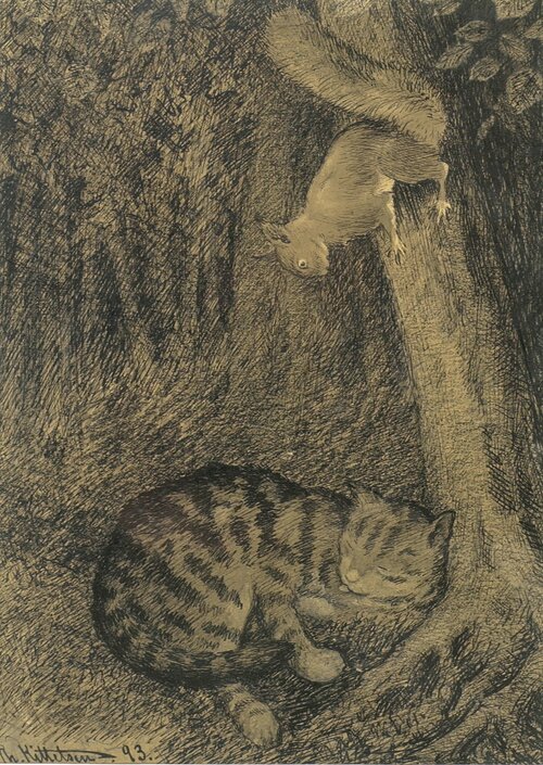 Katt og ekorn 1893