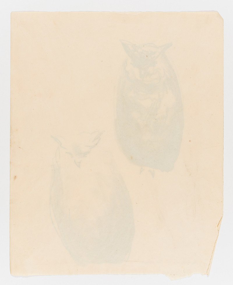 Munch, Edvard (1863-1944), To ugler