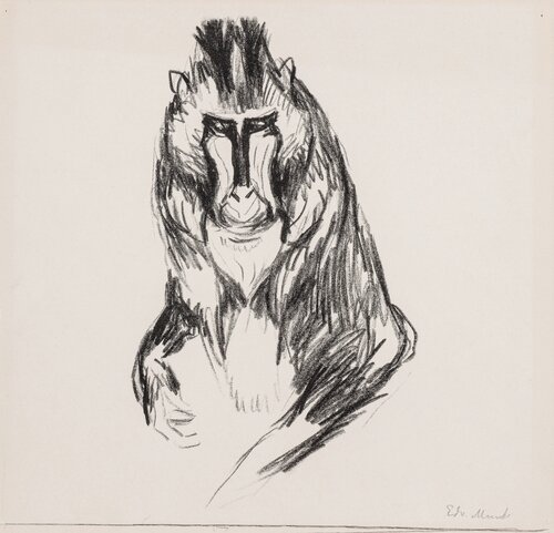 Munch, Edvard, Gorilla, 1908-09