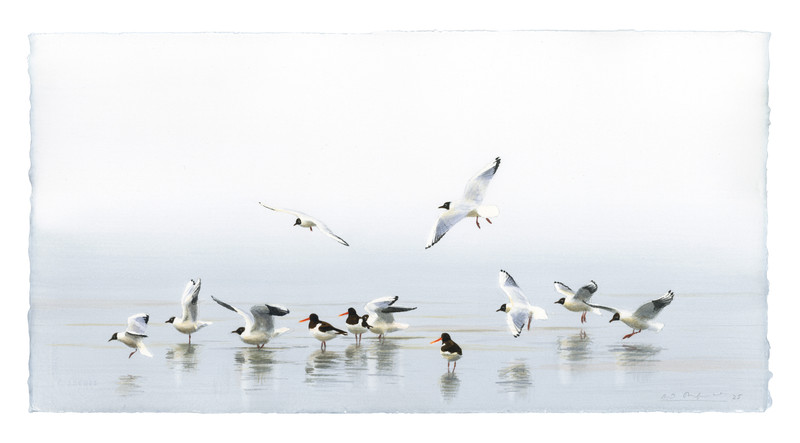 Thorenfeldt, Axel (1998-), Morgen i mars II (2025)    SOLGT