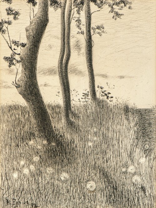 Landscape 1892