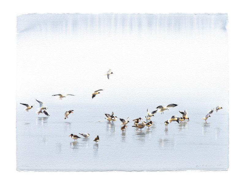 Thorenfeldt, Axel (1998-), Morgen i mars I (2025)    SOLGT