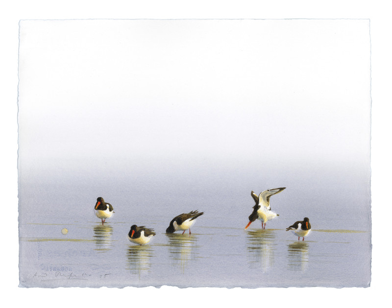 Thorenfeldt, Axel (1998-), Morgen/tjeld II (2025)    SOLGT