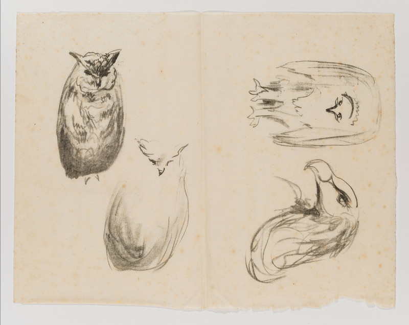 Munch, Edvard (1863-1944), Gribb og Gribbehode/To ugler (1915)