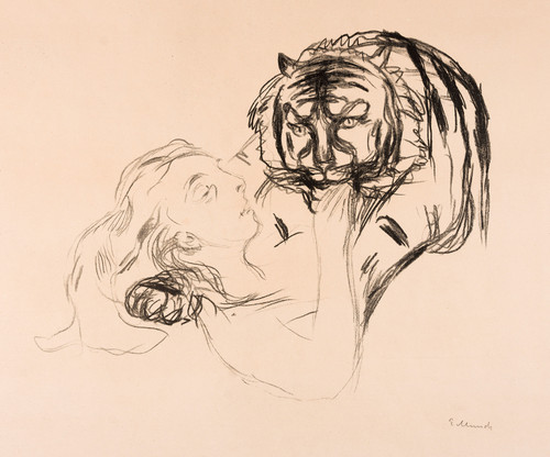 The Tiger (1908-09)