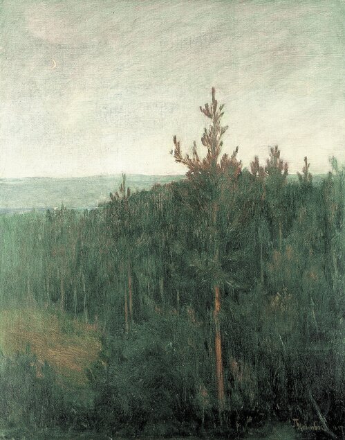 Skogslandskap Aften 1897