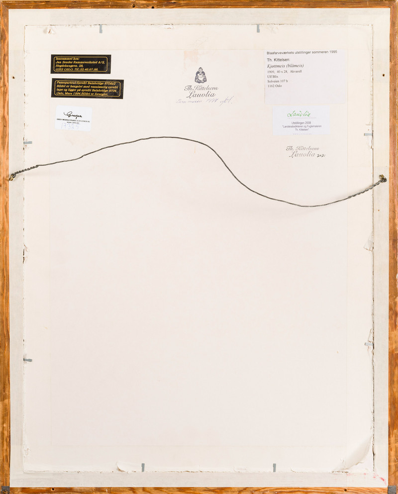 Kittelsen, Theodor (1857-1914), Kjøttmeis (Blåmeis) 1909