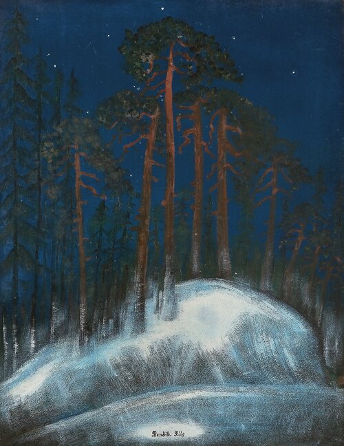 Starry Night over Pine Forest, Winter