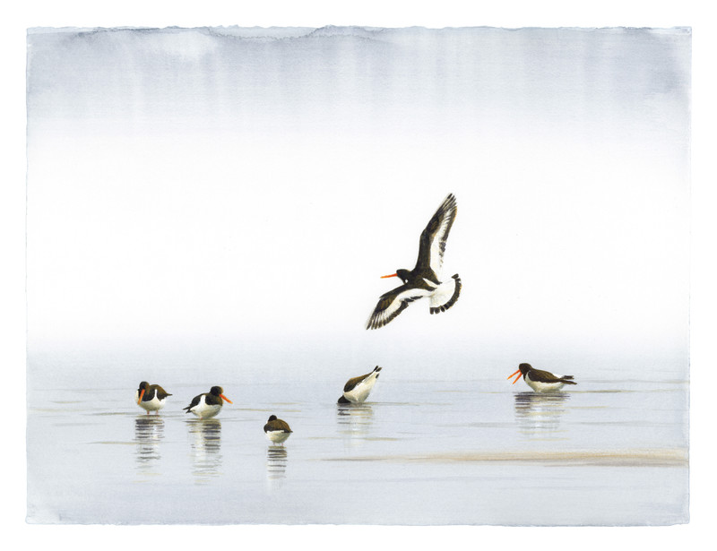 Thorenfeldt, Axel (1998-), Morgen/tjeld III (2025)    SOLGT