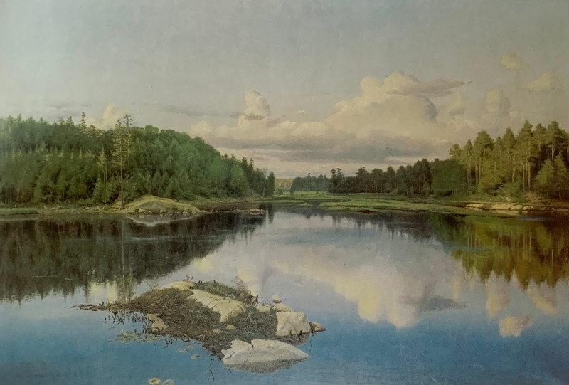 Skogstjærn 1891