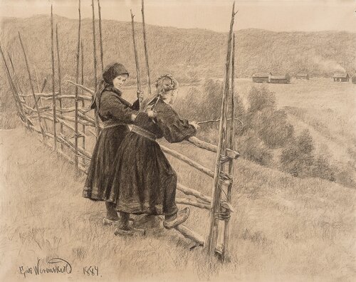 Fra Telemark 1884