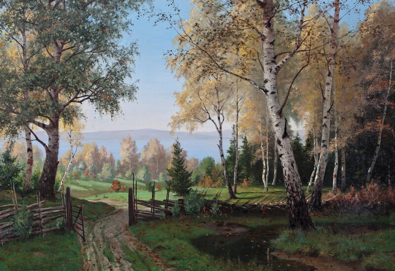 Forest Landscape with country road by a lake