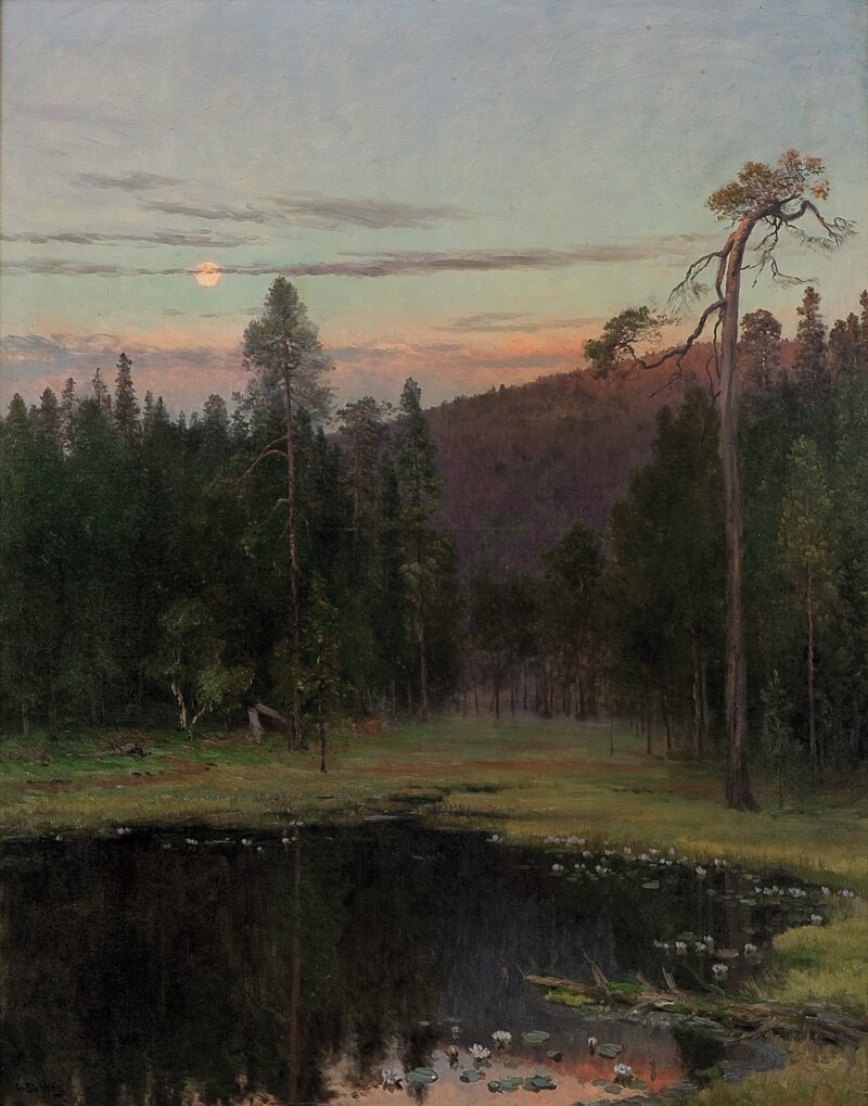 Evening by a pond