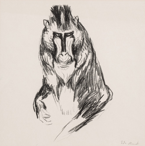 Gorilla (1908-09)*