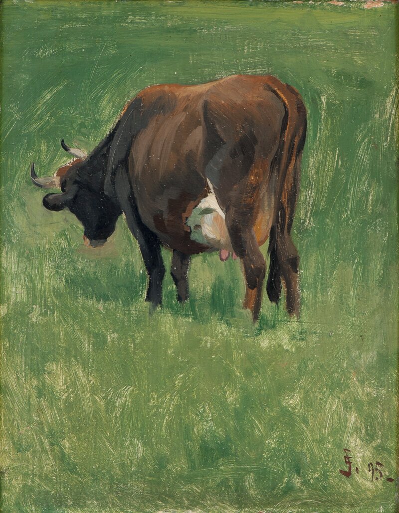 Study of a Cow 1895