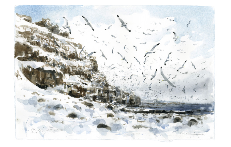 Thorenfeldt, Axel (1998-), Ekkerøy (2022)    SOLGT