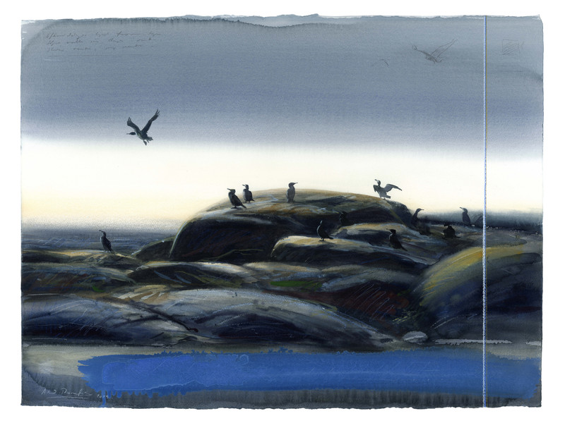 Thorenfeldt, Axel (1998-), Etter regnet, 2024