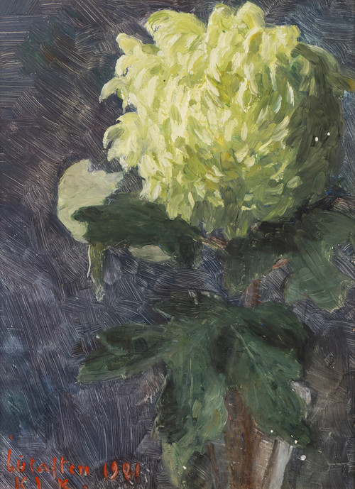 Kielland, Kitty (1843-1914), Krysantemum 1901
