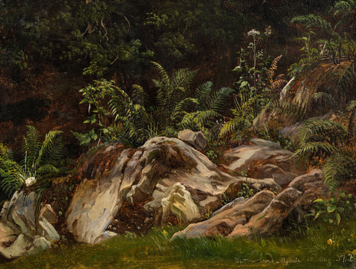 Fearnley, Thomas (1802-1842), Skogstudie