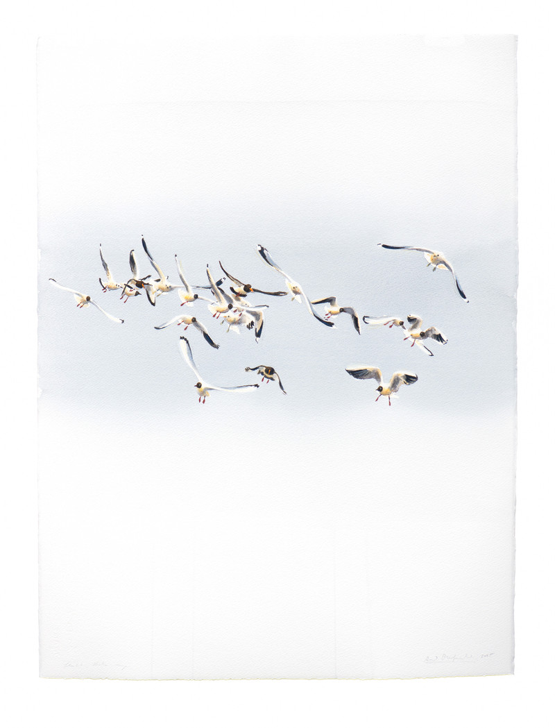 Thorenfeldt, Axel (1998-), Flukt II, 2025