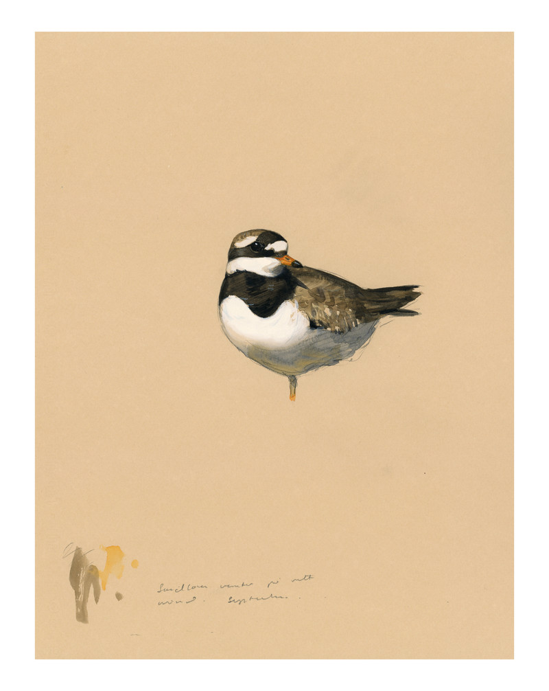 Thorenfeldt, Axel (1998-), Sandlo I (2024)    SOLGT