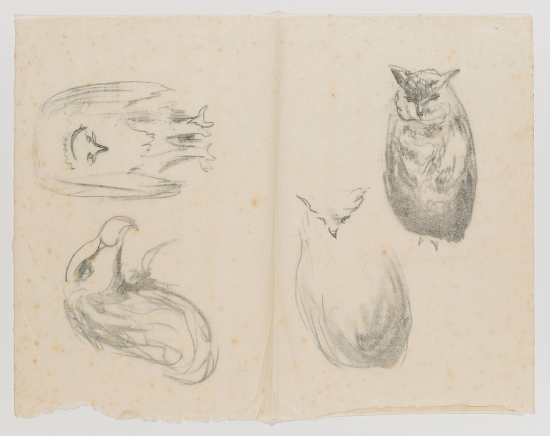 Munch, Edvard (1863-1944), Gribb og Gribbehode/To ugler (1915)