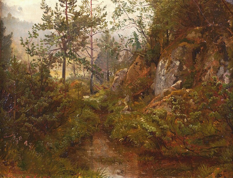 Skogstjærn 1867