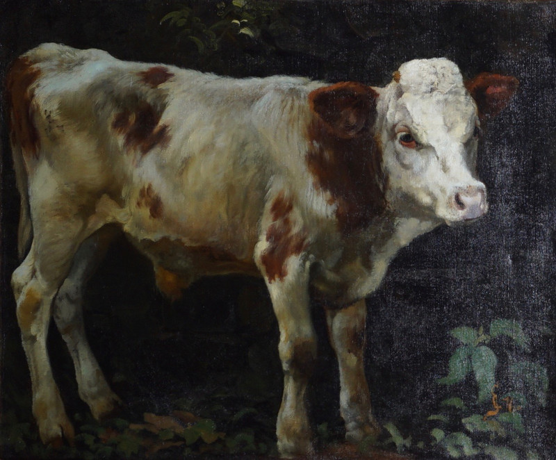 Skredsvig, Christian (1854-1924), Study of a Cow 1876