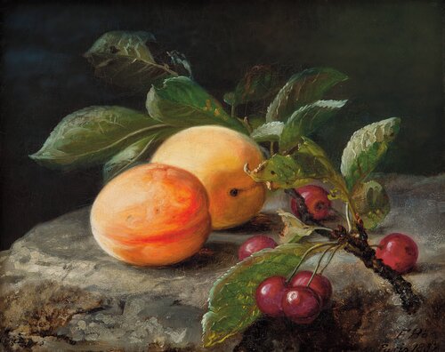 Oppstilling med frukt 1852