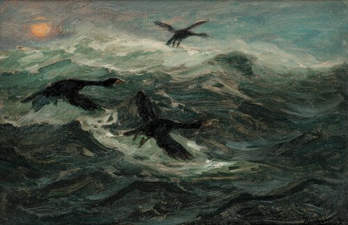 Flying Cormorants