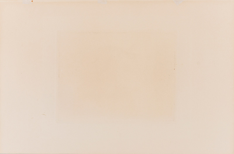 Munch, Edvard (1863-1944), Det syke barn (1896)