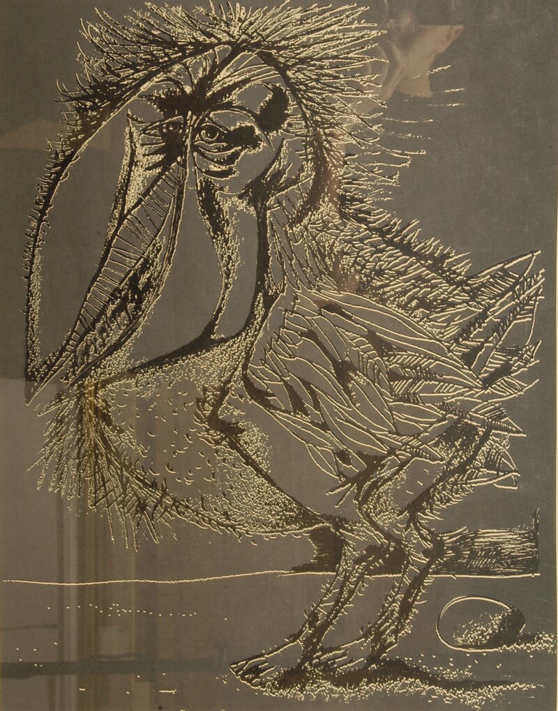 Pelikan 1969