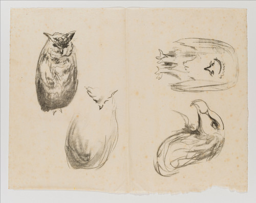 Munch, Edvard, Gribb og Gribbehode/To ugler (1915)