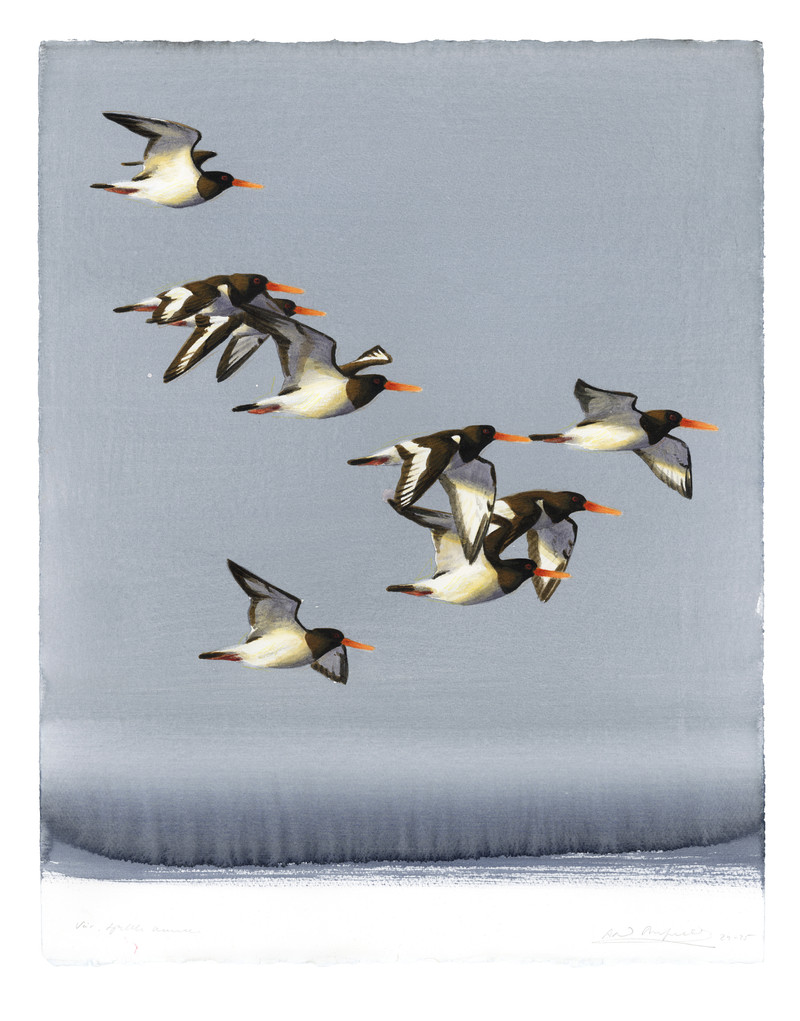 Thorenfeldt, Axel (1998-), Vår/tjeld (2024)   SOLGT