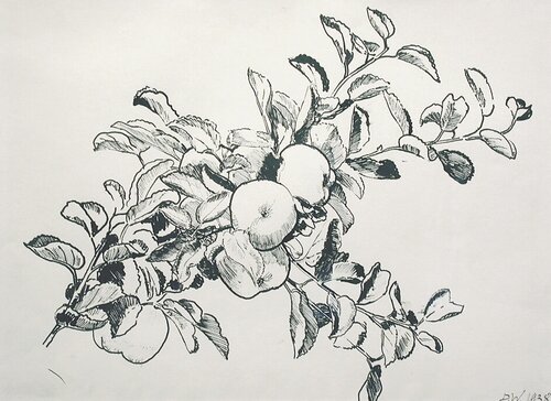 Gren med epler 1938