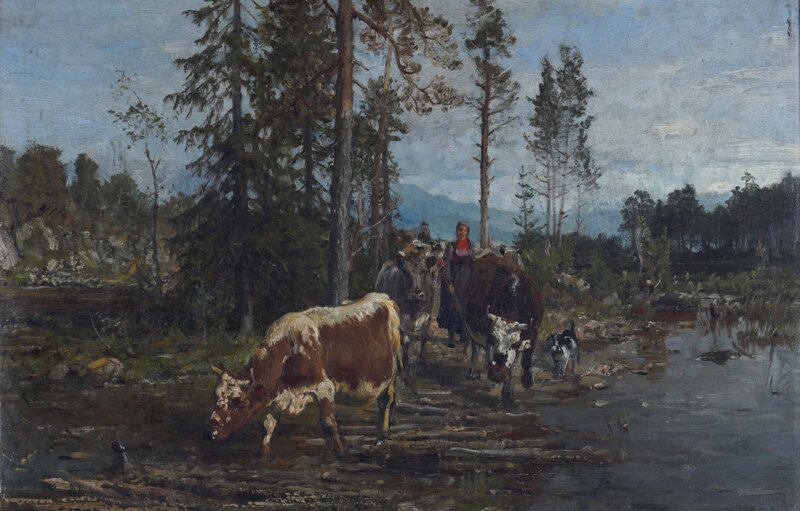 Kyr ved vanningssted 1899